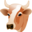 ძროხის ფარში