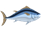 თევზი