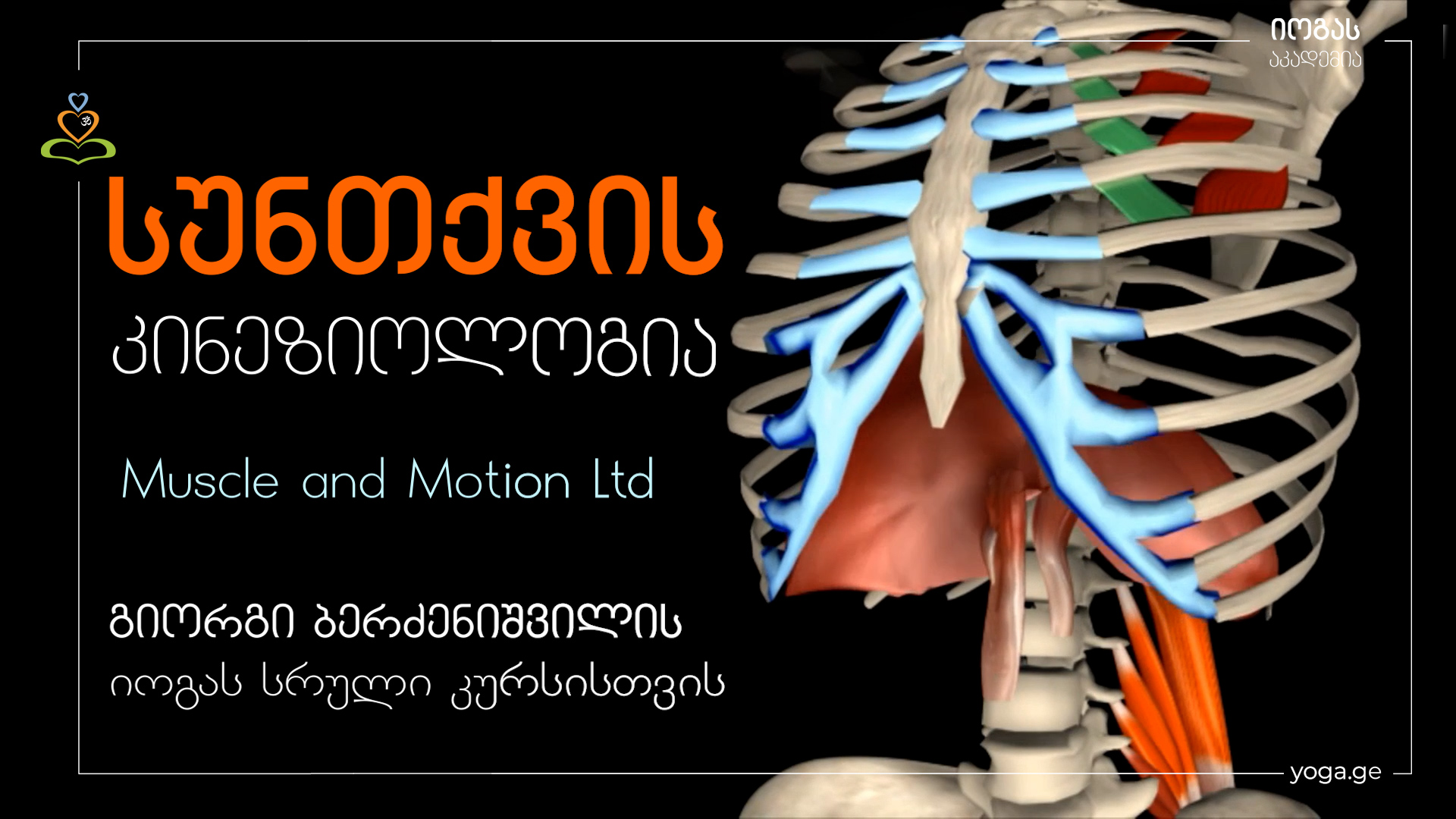 სუნთქვის კინეზიოლოგია - Kinesiology of Breath