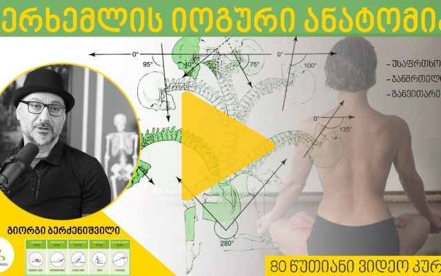 ხერხემლის იოგური ანატომია